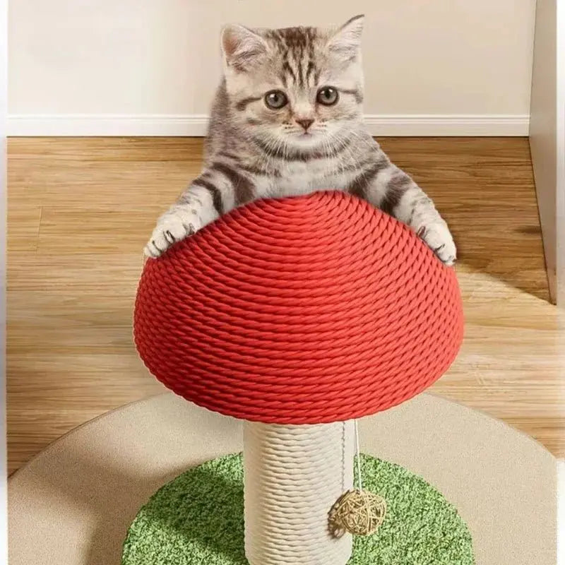 Griffoir chat champignon MiaouDéco