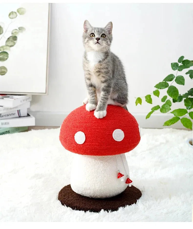 Griffoir Champignon à Pois - MiaouDéco