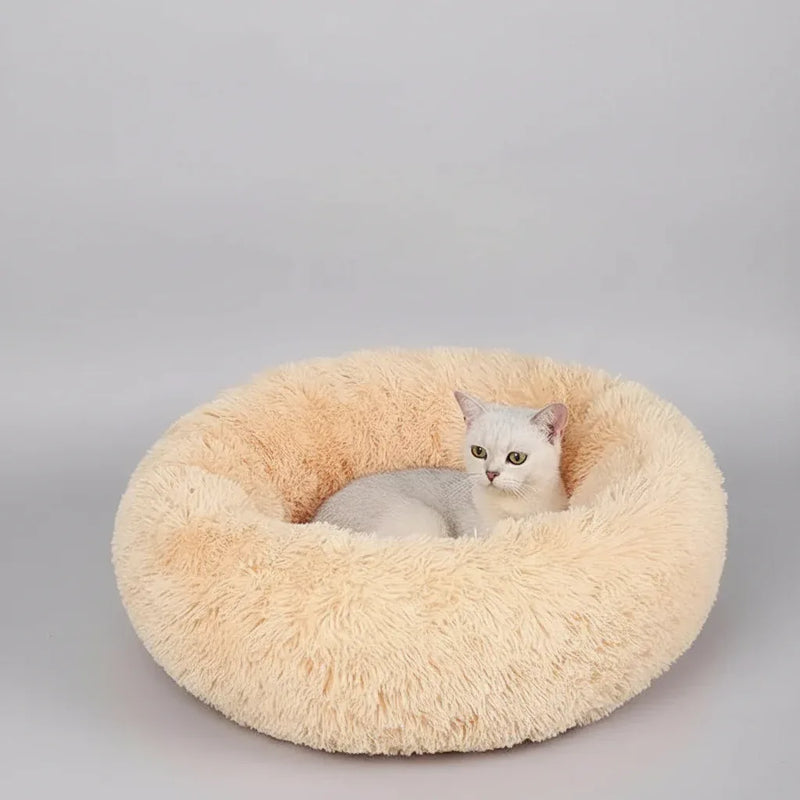 Panier chaud pour chat transportable - MiaouDéco