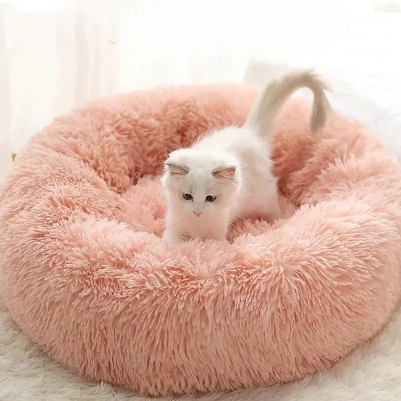 Panier chaud pour chat transportable - MiaouDéco