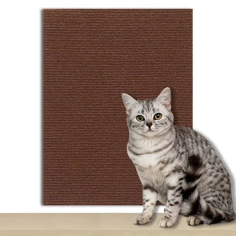 Griffoir Protège-Canapé en Sisal - MiaouDéco