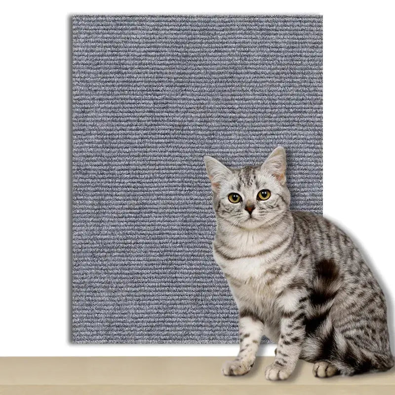 griffoir chat canapé MiaouDéco