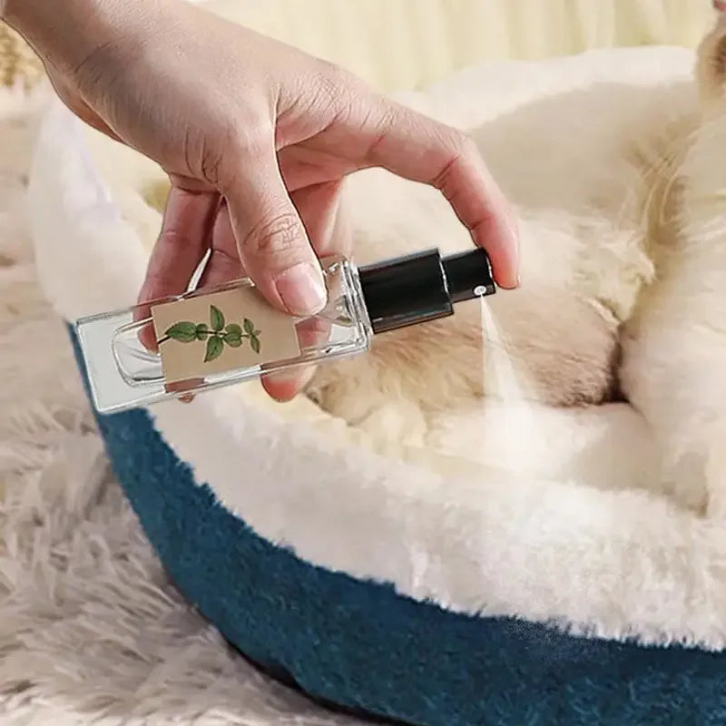 Spray attirant pour chat - MiaouDéco
