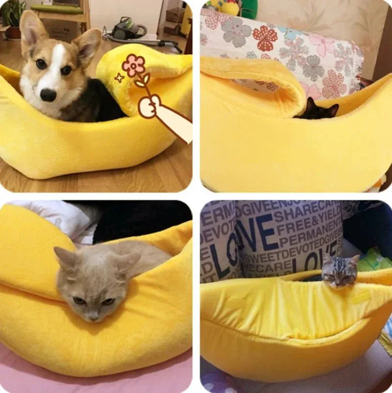 Panier pour chat banane - MiaouDéco