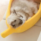 Panier pour chat banane - MiaouDéco