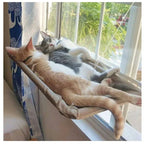 Chaise pour chat murale - MiaouDéco
