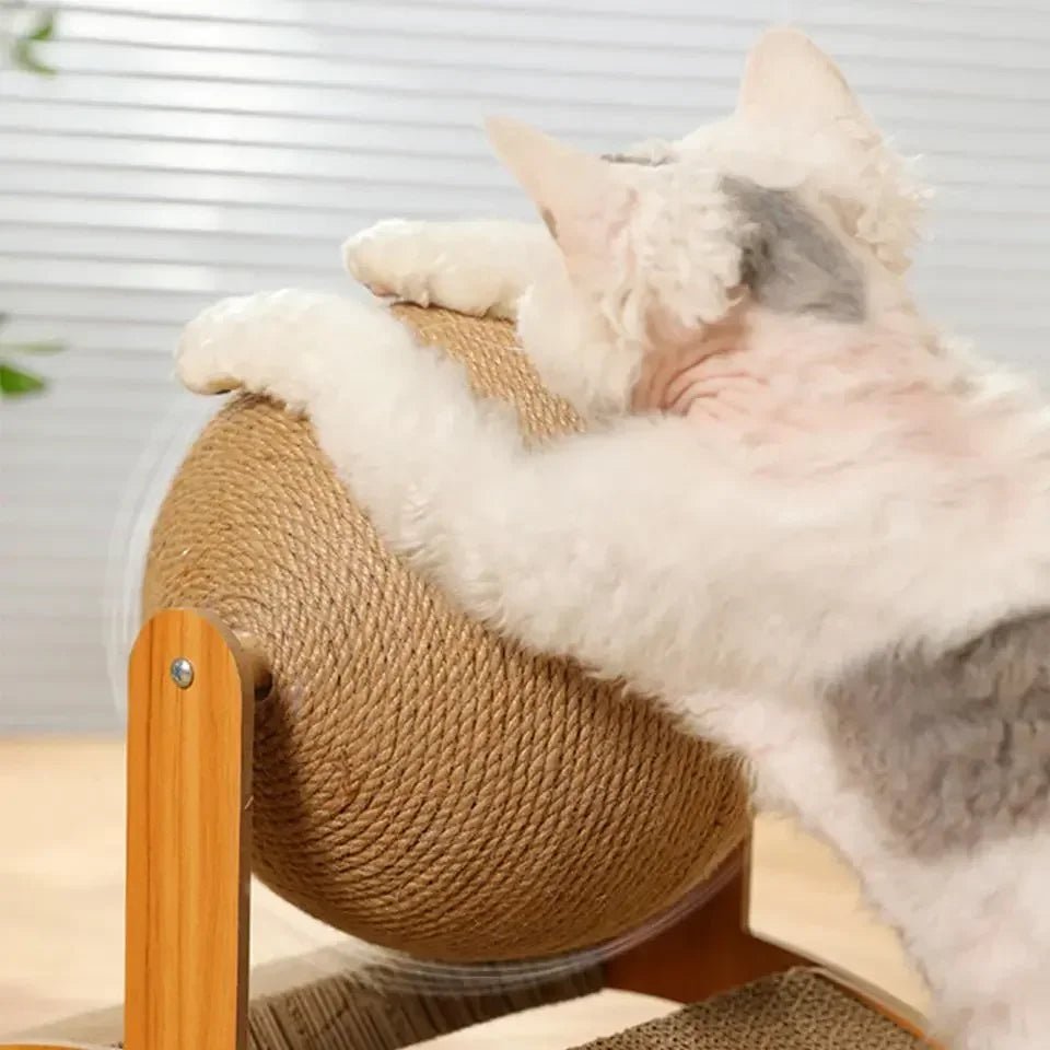 2 In 1 Cat Scratching Ball Wooden Cat Scratcher Sisal Scratch Board Wear-Resistant Grinding Paw Toy Solid Wood Scraper for Cats MiaouDéco