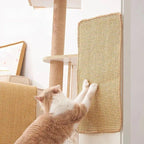 Griffoir Protège canapé en sisal - MiaouDéco