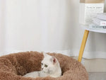 Panier chaud pour chat transportable - MiaouDéco