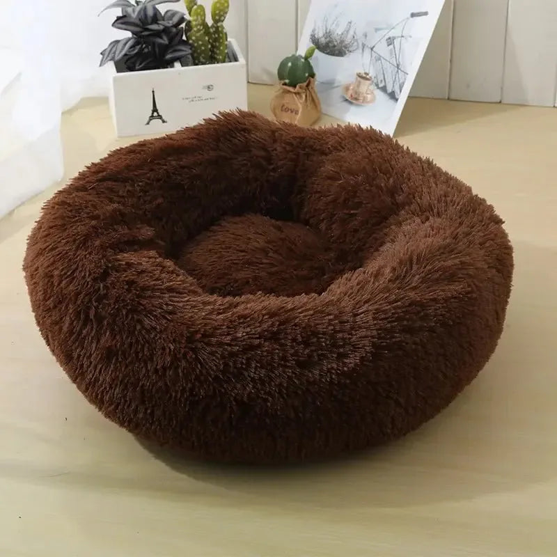 Panier chaud pour chat transportable - MiaouDéco