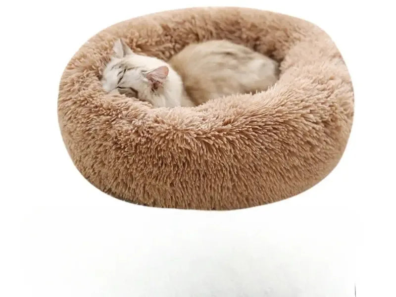 Panier chaud pour chat transportable - MiaouDéco
