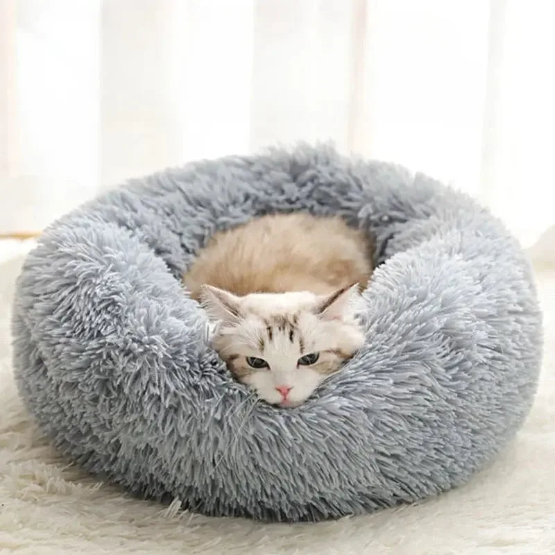 Panier chaud pour chat transportable - MiaouDéco