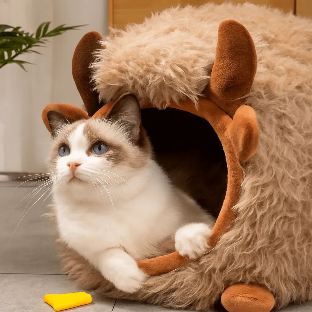 panier pour chat rennes - MiaouDéco
