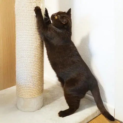 Poteaux griffoirs sisal